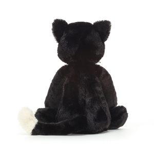 Bashful Black Kitten