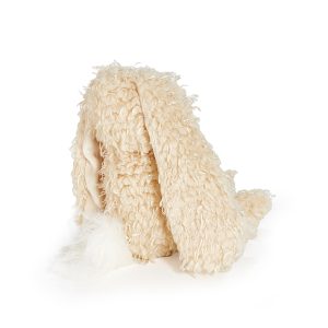 Harey the Bunny Rabbit